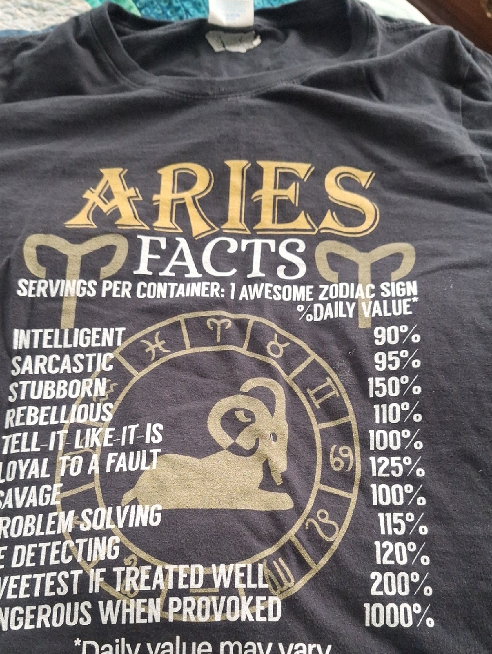 Aries Facts Short Sleeve Tee - Black with Gold Print